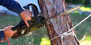 Best Lawn Mowing  in Odenville, AL