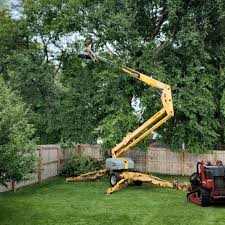 Best Lawn Drainage Solutions  in Odenville, AL