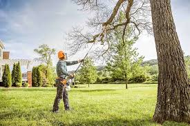 Best Emergency Tree Removal  in Odenville, AL