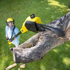 Best Pest Control for Lawns  in Odenville, AL